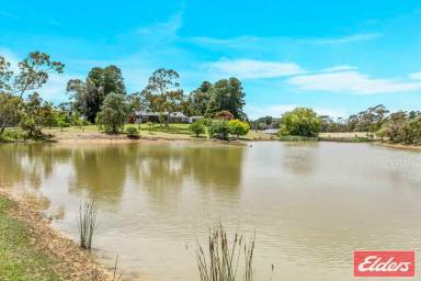 House For Sale - SA - Cromer - 5235 - "Whispering Pines" Idyllic Private Country Setting, Enchanting Gardens. (Image 2)