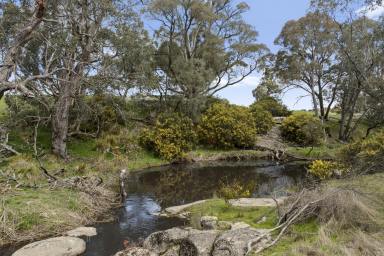 Residential Block For Sale - VIC - Strathbogie - 3666 - Township-Zoned 10 Acres with Seven Creeks Frontage in the Heart of Strathbogie  (Image 2)
