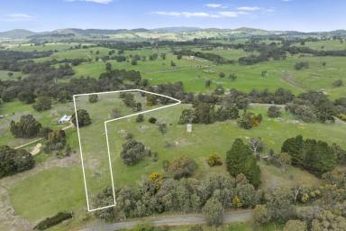 Residential Block For Sale - VIC - Strathbogie - 3666 - Township-Zoned 10 Acres with Seven Creeks Frontage in the Heart of Strathbogie  (Image 2)