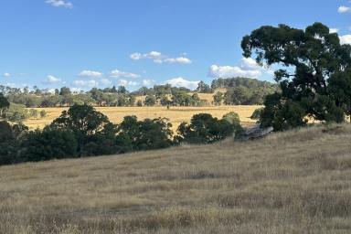 Residential Block For Sale - VIC - Strathbogie - 3666 - Township-Zoned 10 Acres with Seven Creeks Frontage in the Heart of Strathbogie  (Image 2)