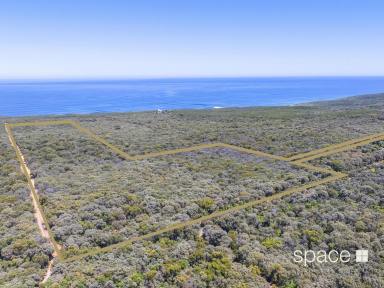 Residential Block For Sale - WA - Gracetown - 6284 - Awe-Inspiring Ocean Views  (Image 2)
