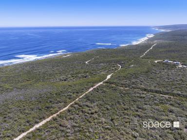 Residential Block For Sale - WA - Gracetown - 6284 - Awe-Inspiring Ocean Views  (Image 2)