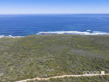 Residential Block For Sale - WA - Gracetown - 6284 - Awe-Inspiring Ocean Views  (Image 2)