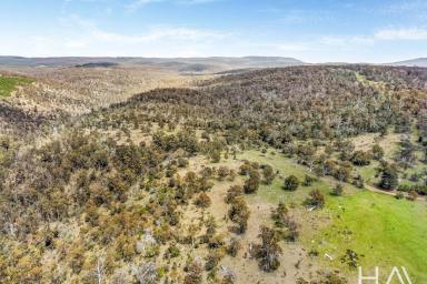 Other (Rural) For Sale - TAS - Bushy Park - 7140 - Welcome to Uxbridge Road, Bushy Park - a rare lifestyle offering of 24.5 ha in one of the Derwent Valley's most peaceful pockets. (Image 2)