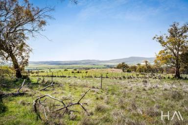 Other (Rural) For Sale - TAS - Bushy Park - 7140 - Welcome to Uxbridge Road, Bushy Park - a rare lifestyle offering of 24.5 ha in one of the Derwent Valley's most peaceful pockets. (Image 2)