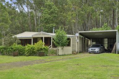 Lifestyle Auction - VIC - Jancourt - 3266 - Tranquil Lifestyle Retreat  (Image 2)