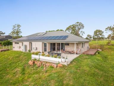 House For Sale - NSW - Kyogle - 2474 - Spacious, Modern Home on 1.5 acres (Image 2)