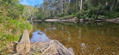 Lifestyle For Sale - TAS - North Motton - 7315 - Pristine Riverfront Sanctuary on the Leven River (Image 2)