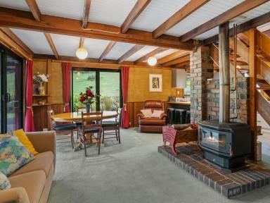 Lifestyle For Sale - TAS - North Motton - 7315 - Pristine Riverfront Sanctuary on the Leven River (Image 2)