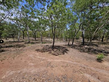 Acreage/Semi-rural Leased - QLD - Cooktown - 4895 - 2 Bedroom Cottege For Rent on 1 Acre  (Image 2)