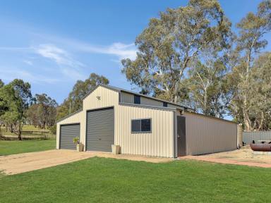 House Sold - NSW - Young - 2594 - Spacious 5-Bedroom Brick Home on 10 Acres  (Image 2)
