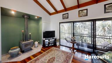 Cropping For Sale - QLD - Apple Tree Creek - 4660 - YOUR OWN OASIS  (Image 2)