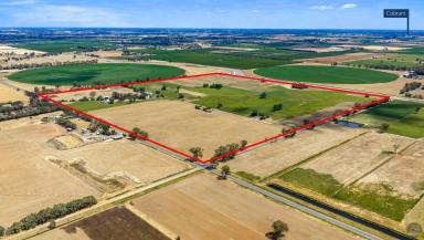 Livestock Auction - VIC - Muckatah - 3644 - 'Muckatah Park' Cobram District Irrigation Property (Image 2)