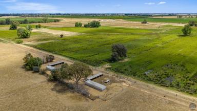 Livestock Auction - VIC - Muckatah - 3644 - 'Muckatah Park' Cobram District Irrigation Property (Image 2)