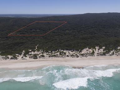 Residential Block For Sale - WA - Deepdene - 6290 - Rare slice of wilderness with spectacular coastal views  (Image 2)