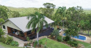 Livestock For Sale - QLD - Coowonga - 4702 - Palm Creek _ Coastal Rural Retreat  (Image 2)