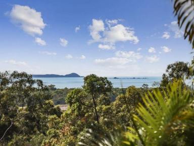House For Sale - QLD - Coowonga - 4702 - Palm Creek _ Coastal Rural Retreat  (Image 2)