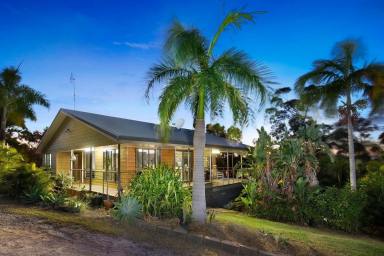 Livestock For Sale - QLD - Coowonga - 4702 - Palm Creek _ Coastal Rural Retreat (Image 2)