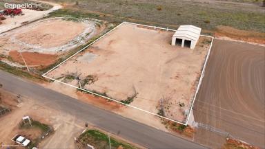 Industrial/Warehouse For Sale - NSW - Hillston - 2675 - READY TO MOVE IN! Large Shed & Yards (Image 2)