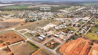 Industrial/Warehouse For Sale - NSW - Hillston - 2675 - READY TO OPERATE OR LEASE  (Image 2)