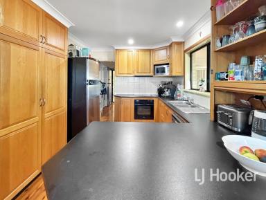 House For Sale - NSW - Inverell - 2360 - Spacious Family Home With Views in Prestigious Ross Hill (Image 2)