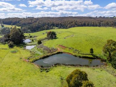 House For Sale - TAS - West Ridgley - 7321 - Guide Falls Farm - A Rare 65-Acre Lifestyle, Agricultural & Tourism Estate  (Image 2)