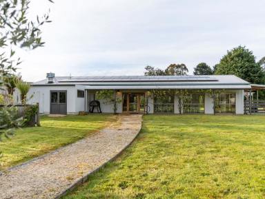 House For Sale - TAS - West Ridgley - 7321 - Guide Falls Farm - A Rare 65-Acre Lifestyle, Agricultural & Tourism Estate (Image 2)
