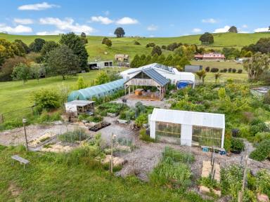 House For Sale - TAS - West Ridgley - 7321 - Guide Falls Farm - A Rare 65-Acre Lifestyle, Agricultural & Tourism Estate  (Image 2)