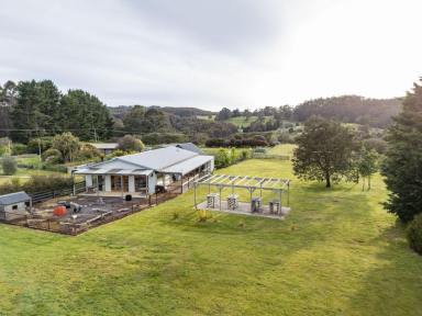 House For Sale - TAS - West Ridgley - 7321 - Guide Falls Farm - A Rare 65-Acre Lifestyle, Agricultural & Tourism Estate  (Image 2)