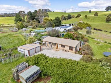 House For Sale - TAS - West Ridgley - 7321 - Guide Falls Farm - A Rare 65-Acre Lifestyle, Agricultural & Tourism Estate  (Image 2)
