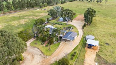 Farmlet For Sale - VIC - Boisdale - 3860 - Lifestyle Horse Property with Income Potential (Image 2)