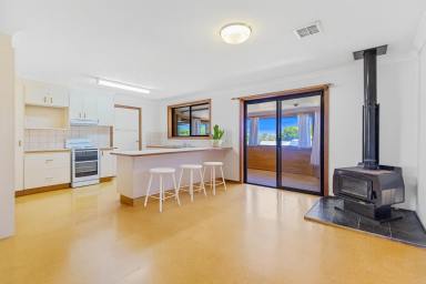 House For Sale - NSW - Gulgong - 2852 - YOUR NEXT CHAPTER STARTS ON GREVILLEA STREET (Image 2)