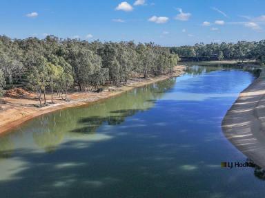 House For Lease - VIC - Echuca - 3564 - Murray River Magic - Discover true riverfront living  (Image 2)