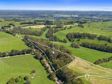 House For Sale - VIC - Buffalo - 3958 - RURAL HOME WITH ROLLING HILL VIEWS  (Image 2)