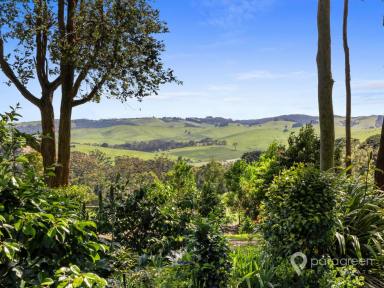House For Sale - VIC - Buffalo - 3958 - RURAL HOME WITH ROLLING HILL VIEWS  (Image 2)