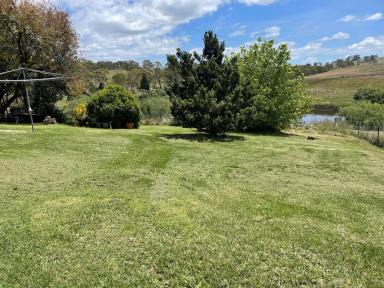 House For Lease - NSW - Bombala - 2632 - 8417 Monaro Highway, Bombala  (Image 2)