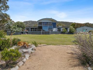 House For Sale - TAS - Bicheno - 7215 - Where Sea, Lifestyle & Luxury Become Your Happy Place  (Image 2)