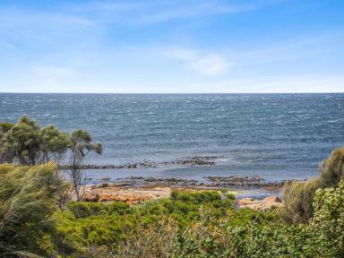 House For Sale - TAS - Bicheno - 7215 - Where Sea, Lifestyle & Luxury Become Your Happy Place (Image 2)