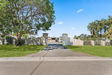 Commercial Farming For Sale - NSW - Kembla Grange - 2526 - Rare Equestrian - Racing Estate  (Image 2)