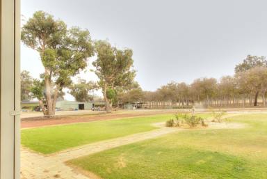 Other (Residential) For Sale - WA - Wanerie - 6503 - 19.6 Hectare Licensed Table Grape Farm with Infrastructure & Expansion Potential  (Image 2)