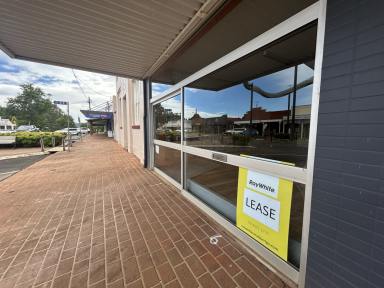 Other (Residential) For Sale - NSW - Dorrigo - 2453 - Hickory Street Frontage, Aircon and Parking at rear!  (Image 2)