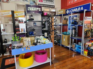Retail For Sale - QLD - Yungaburra - 4884 - Live and Work in the Heart of Yungaburra. (Image 2)