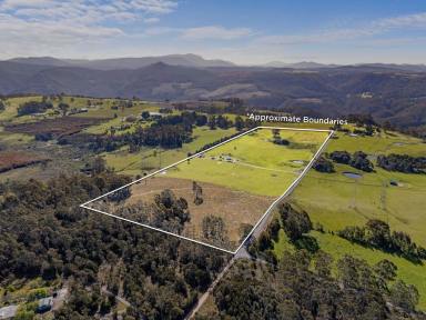 House For Sale - TAS - Staverton - 7306 - Flat acreage with great views (Image 2)