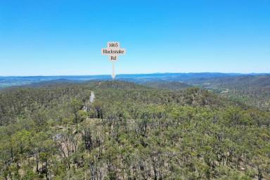 House For Sale - QLD - Black Snake - 4600 - 235 acs ON TOP OF THE WORLD! (Image 2)