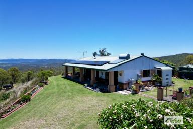 House For Sale - QLD - Black Snake - 4600 - 235 acs ON TOP OF THE WORLD! (Image 2)