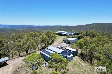 House For Sale - QLD - Black Snake - 4600 - THE ULTIMATE ESCAPE – 235 ACRES of OFF GRID LIFESTYLE!  (Image 2)