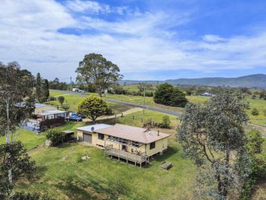 House For Sale - NSW - Bemboka - 2550 - NEAT HOME ON HALF AN ACRE  (Image 2)