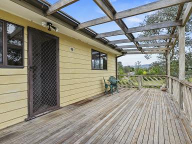 House For Sale - NSW - Bemboka - 2550 - NEAT HOME ON HALF AN ACRE  (Image 2)