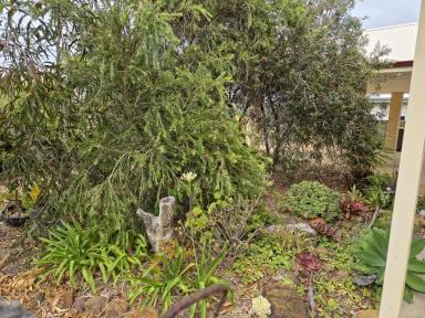 House For Sale - WA - Hopetoun - 6348 - Everything you have been looking for! (Image 2)