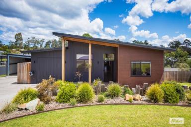 House For Sale - NSW - Kalaru - 2550 - THE COMPLETE PACKAGE - MODERN, STYLISH & MOVE IN READY (Image 2)